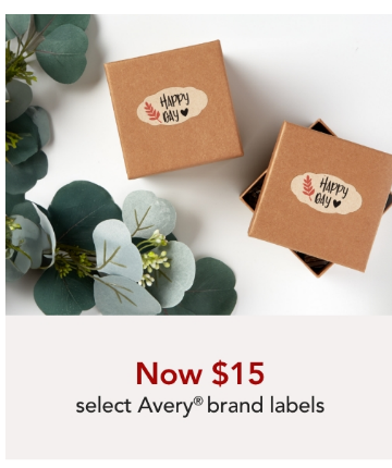 On Sale $15 PAPER SOLO Select Avery®  Specialty Labels NOW $15 Online