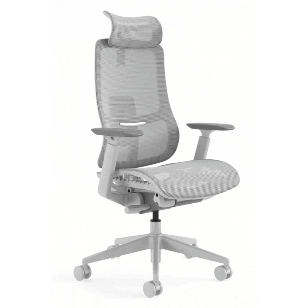 Agile Ergonomic Office Chair is the chair you need for career growth and business success. 