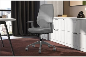 Ergonomic and comfortable, the Mid Back Task Chair is fully adjustable and can be fine-tuned to your daily posture needs. 