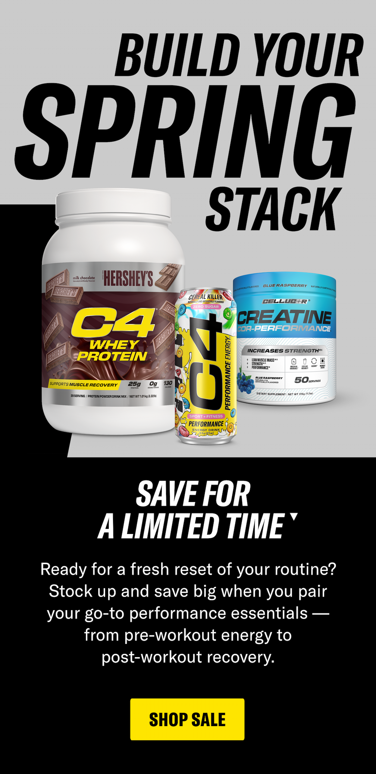 SHOP NOW