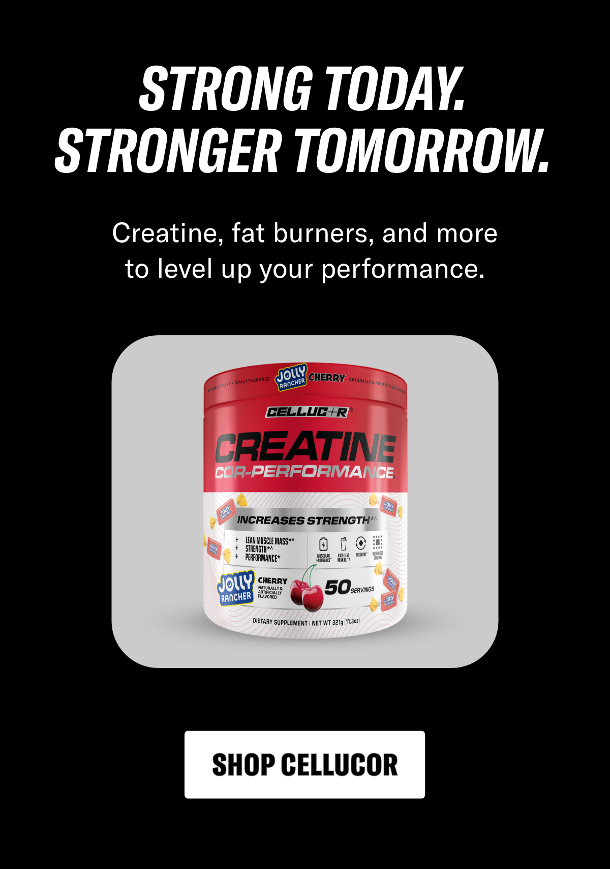 SHOP NOW