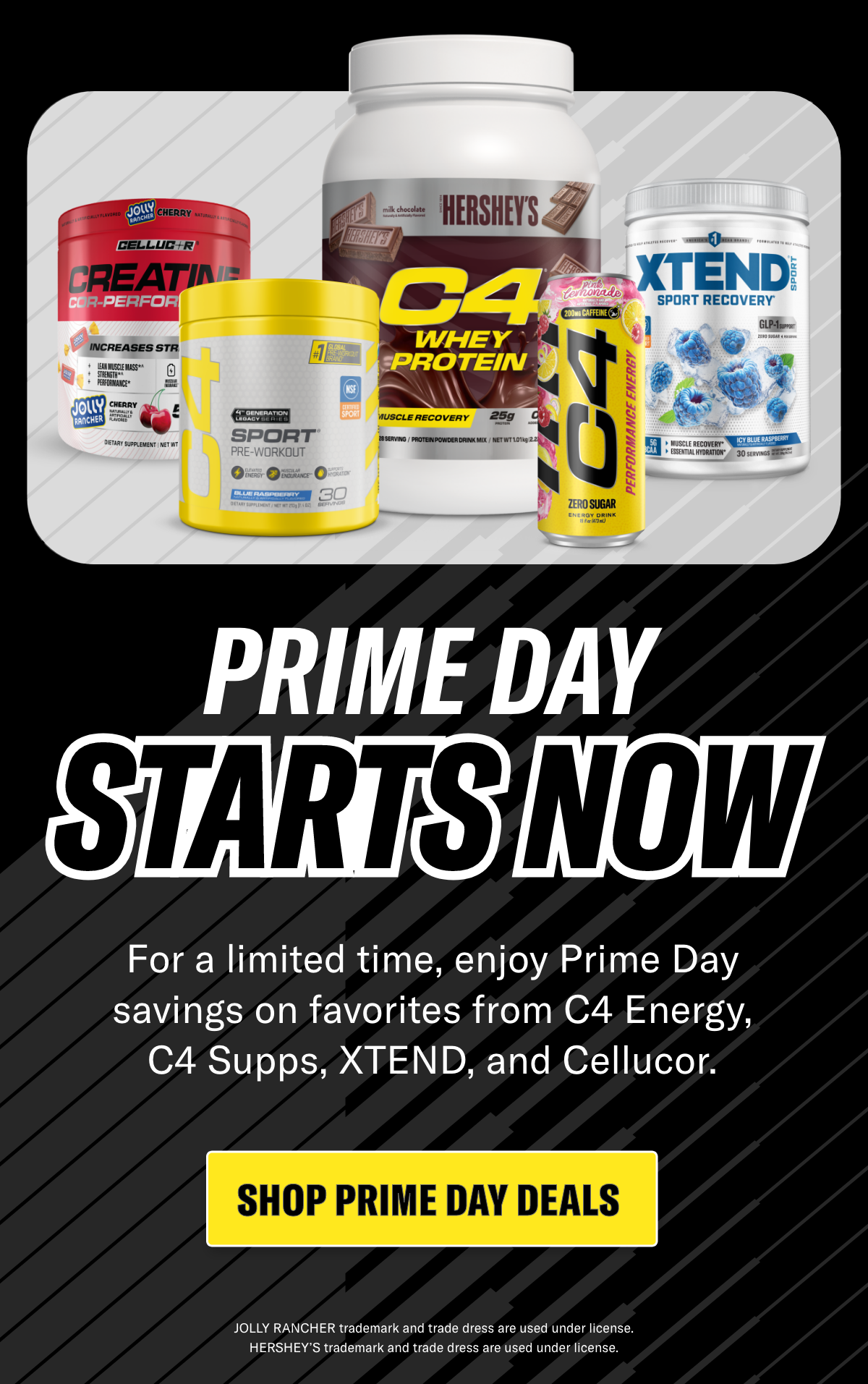 SHOP NOW