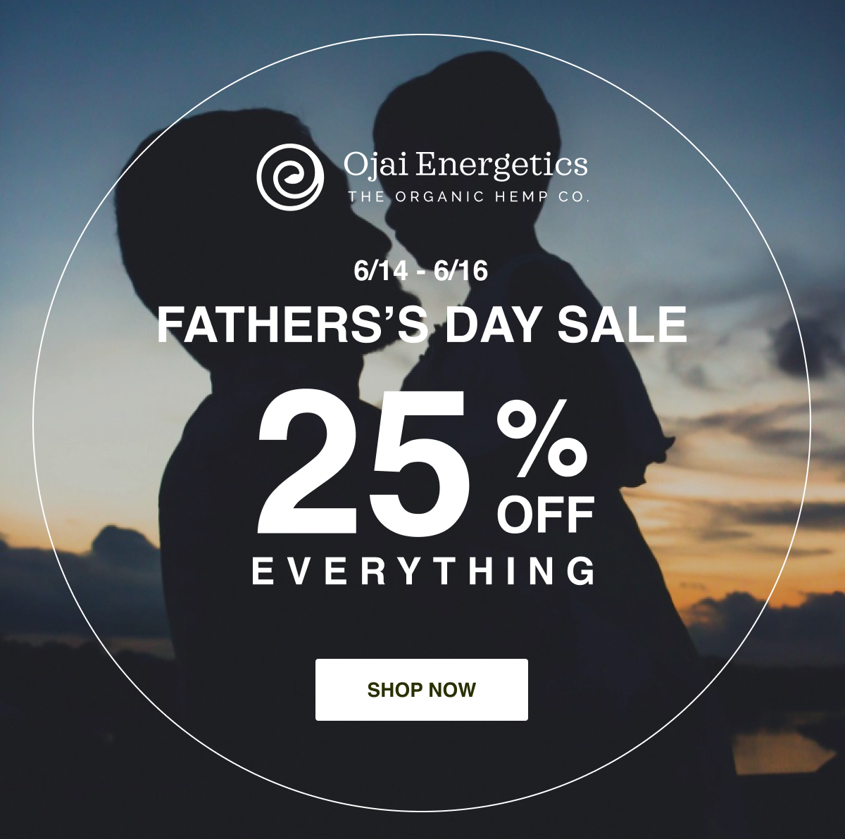 Father's Day Sale Get 25% Off
