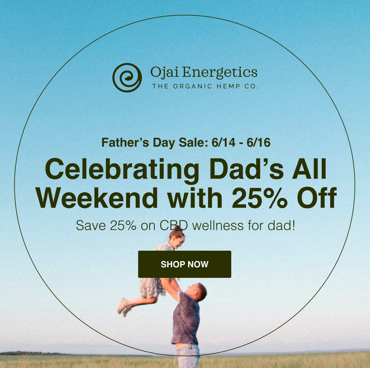 Father's Day Sale Get 25% Off