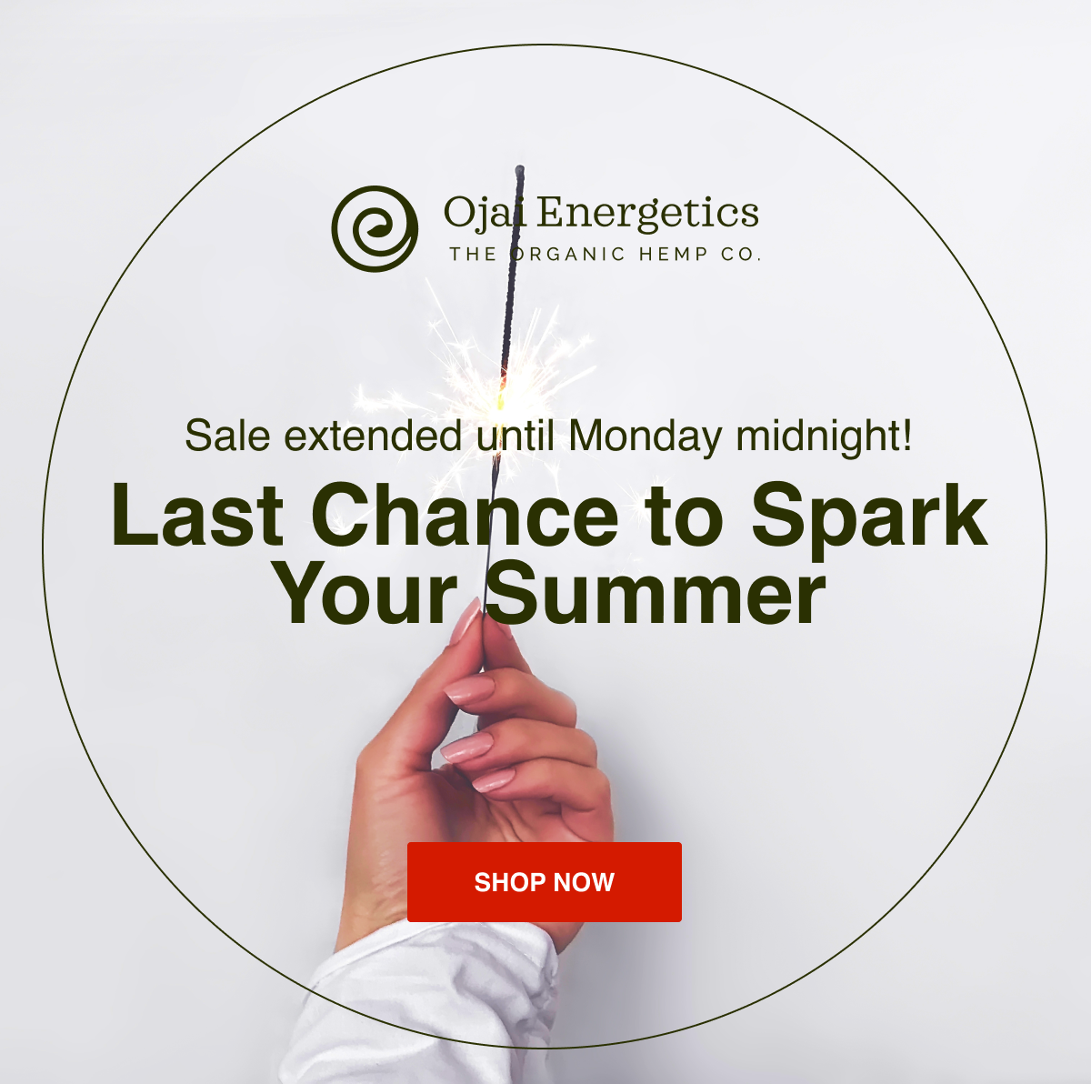 Last Chance for 15% Off