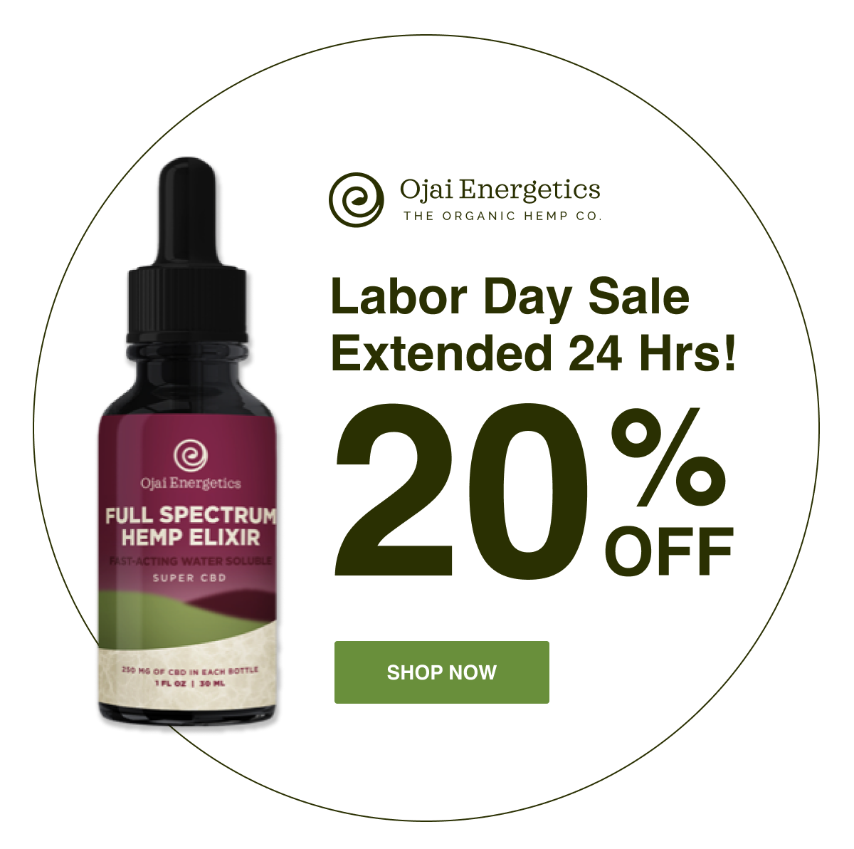 Labor Day Sale Extended - 24 hrs More for 20% Off
