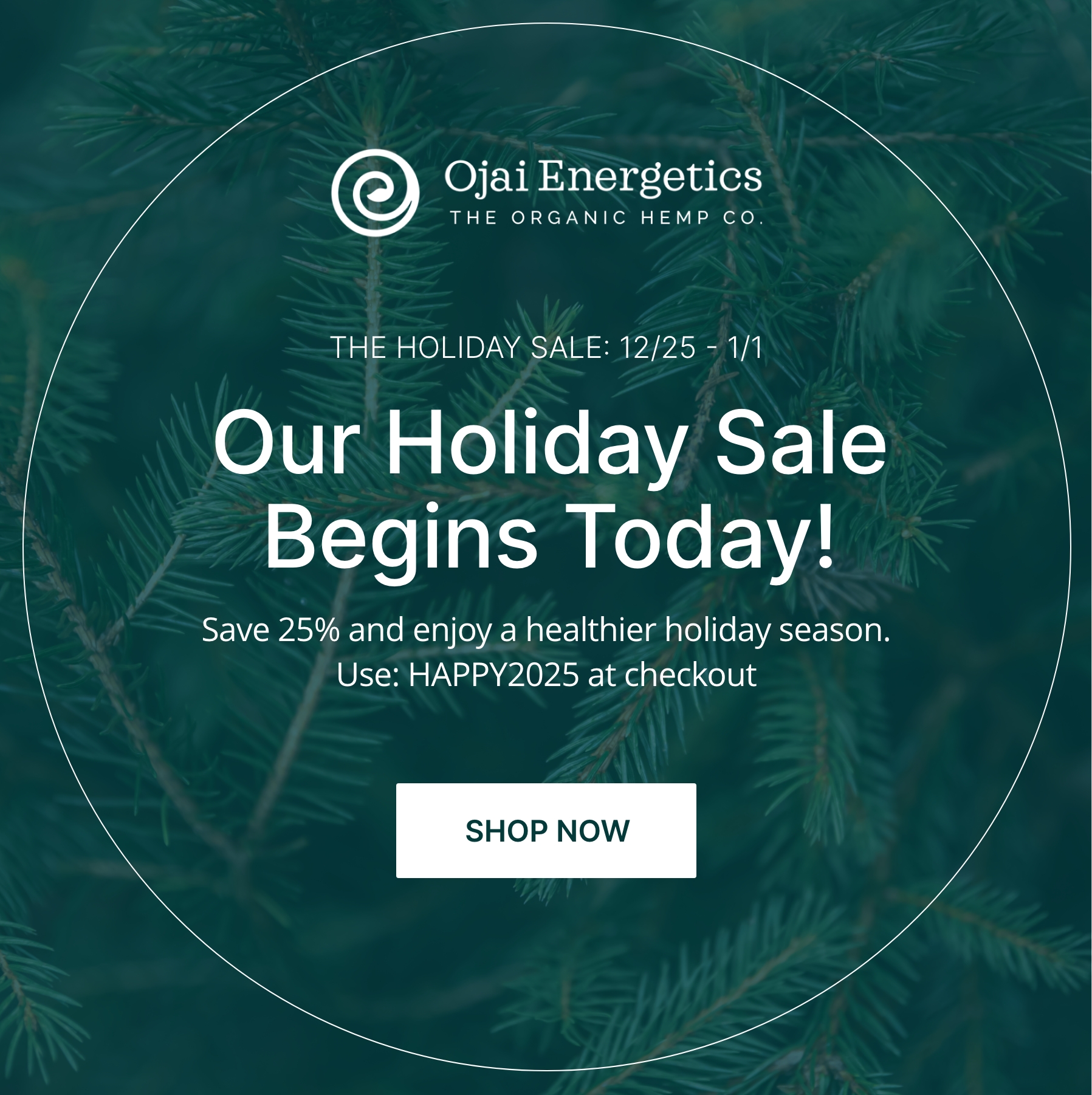 Our Holiday Sale Begins Today!