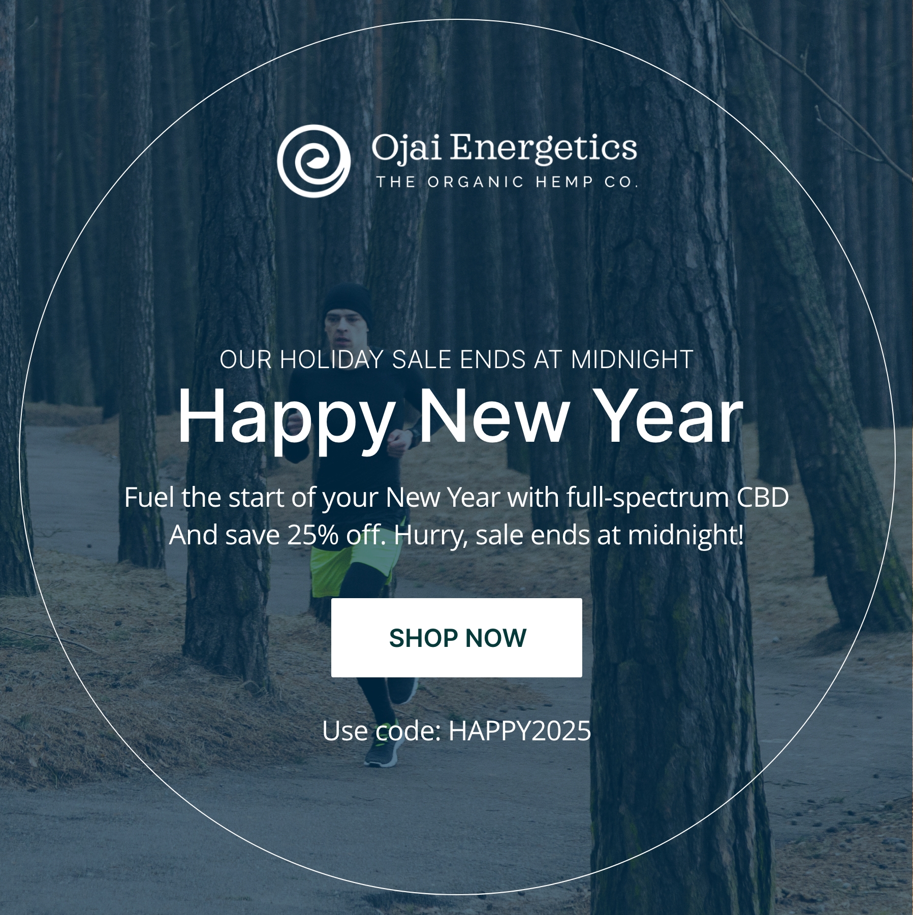 Happy New Year