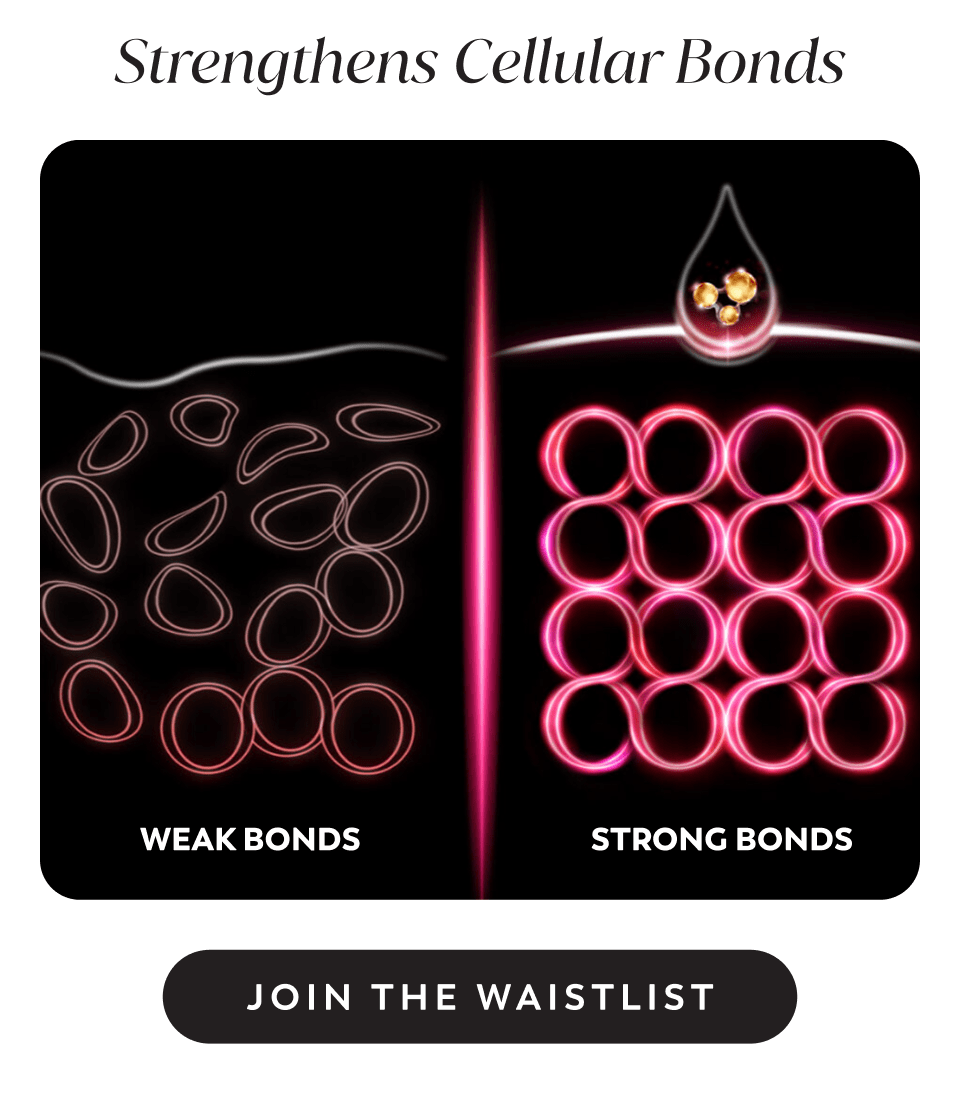strengthens cellular bonds - join the waitlist strengthens cellular bonds - join the waitlist
