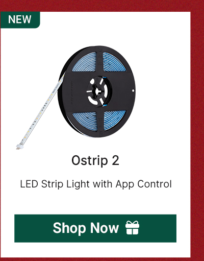 Olight