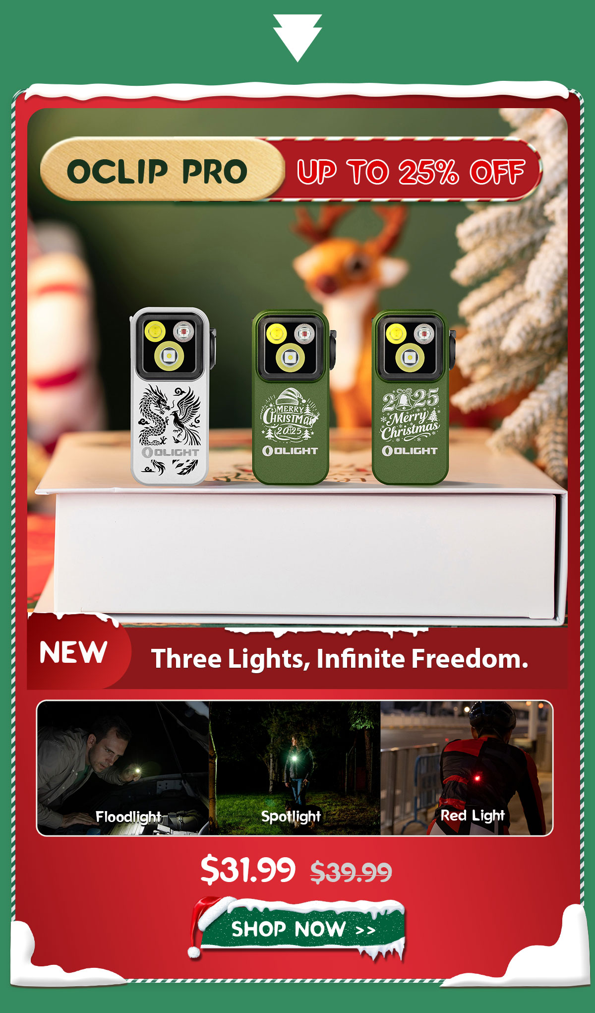 Olight