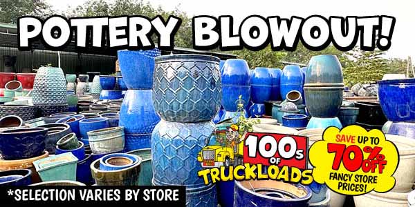 Pottery Blowout