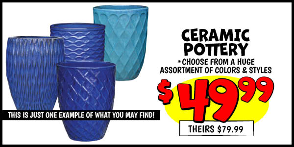 Ceramic Pottery: Our Price: $49.99, theirs: $79.99