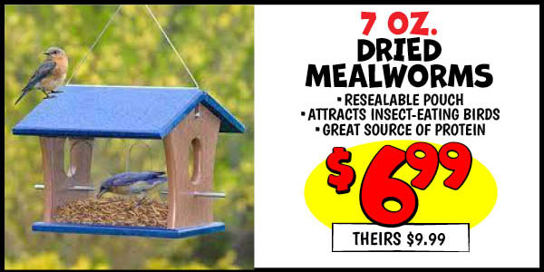 7 oz. Dried Mealworms: Our Price: $6.99, theirs: $9.99