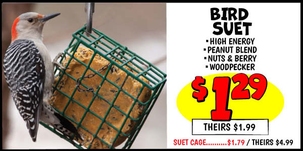 Bird Suet: 12oz,Our Price: $1.29, theirs: $1.99, Suet,Cage,Our Price: $1.79, theirs: $4.99