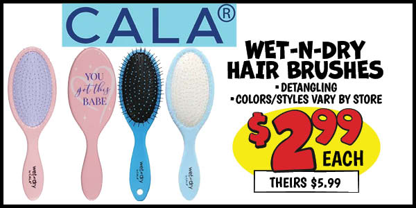 wet-n-dry by CALA Hair Brush: Our Price: $2.99, theirs: $5.99