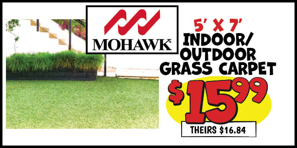 Indoor/Outdoor and grass carpet: 5x7,Grass,Carpet,Our Price: $15.99, theirs: $16.84, 5x7,Outdoor,Carpet,Our Price: $14.99, theirs: $18.2