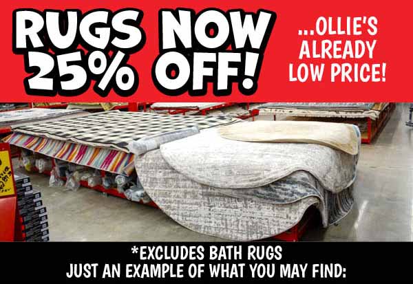 Rugs Now 25% off Ollie's Already Low Price!