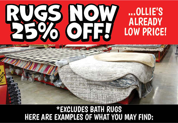 Rugs Now 25% Off Ollie's Already Low Price!