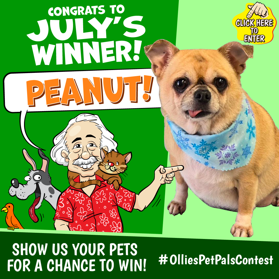 Congrats to July's Winner! Peanut!