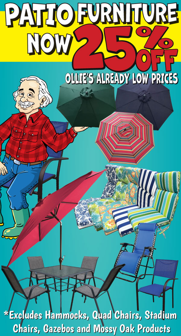 All Patio Cushions Now 25% off Ollie's Already Low Prices!