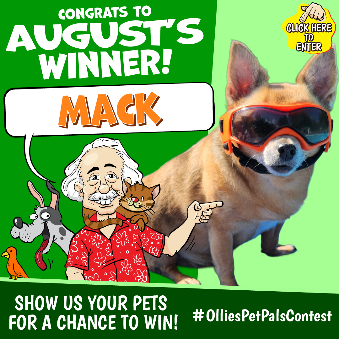 Show Us Your Pets For a Chance to Win!