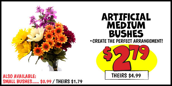 Medium Bushes: Medium,Bushes,(Feature),Our Price: $2.79, theirs: $4.99, Small,Bushes,(Line,LIst),Our Price: $0.99, theirs: $1.79