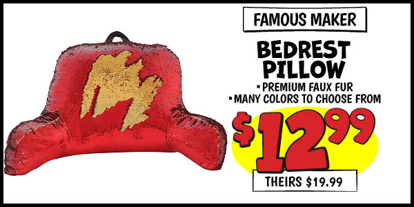 Famous Maker Bedrest Pillow: Our Price: $12.99, theirs: $19.99
