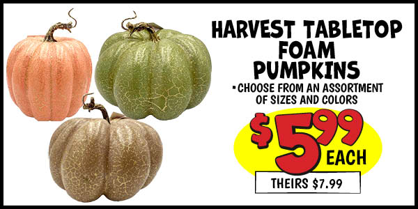 Harvest Tabletop Foam Pumpkins: Our Price: $5.99, theirs: $7.99