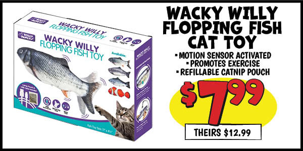 Wacky Willy Cat Toy: Our Price: $7.99, theirs: $12.99