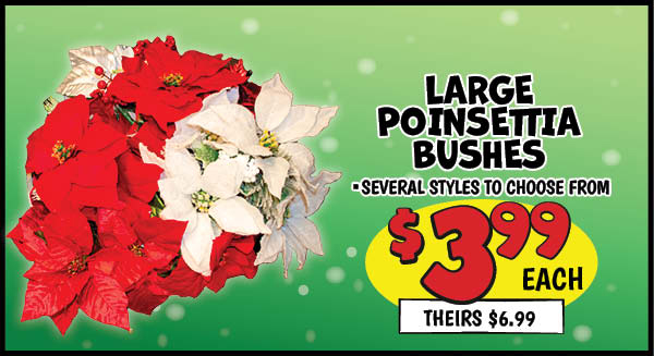 Large Bushes: Our Price: $3.99, theirs: $6.99