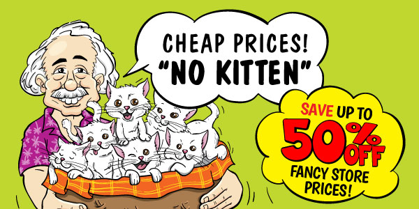 Cheap Prices! NO KITTEN!