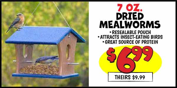 7 oz. Dried Mealworms: Our Price: $6.99, theirs: $9.99