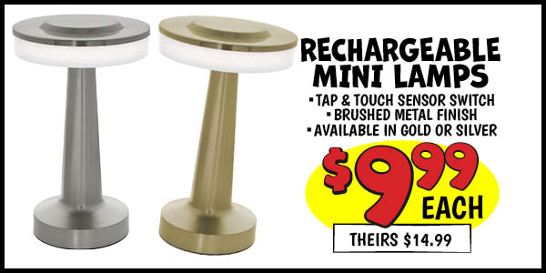 Lustre Rechargeable Mini Lamp: Our Price: $9.99, theirs: $14.99