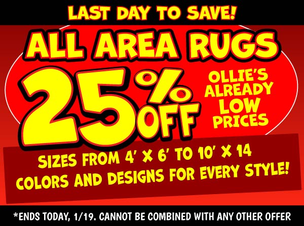 All Area Rugs 25 percent off Ollie's Already Low Prices