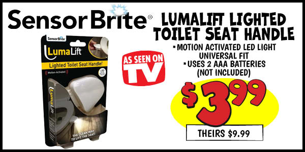 Toilet Seat Handle: Our Price: $3.99, theirs: $9.99