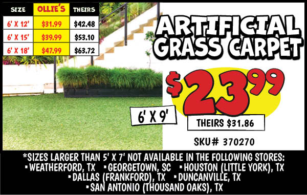 Grass Carpet: 6x9,Our Price: $23.99, theirs: $31.86, 6x12,Our Price: $31.99, theirs: $42.48, 6x15,Our Price: $39.99, theirs: $53.1, 6x18,Our Price: $47.99, theirs: $63.72