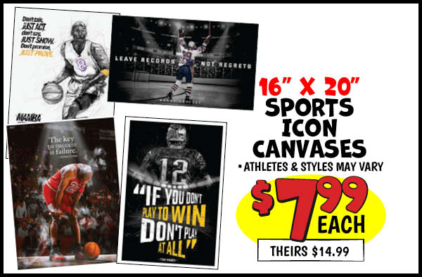 16x20 Sports Icon Canvas: Our Price: $7.99, theirs: $14.99