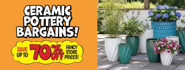 Ceramic Pottery Bargains!