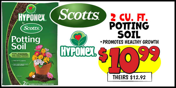 Hyponex potting soil: Our Price: $10.99, theirs: $12.92