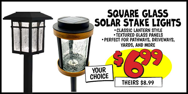 solar stake lights: Our Price: $6.99, theirs: $8.99