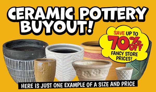 Ceramic Pottery Buyout!