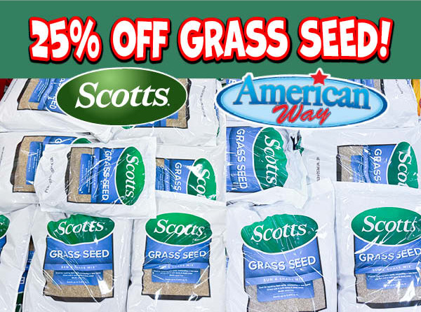 Grass Seed!