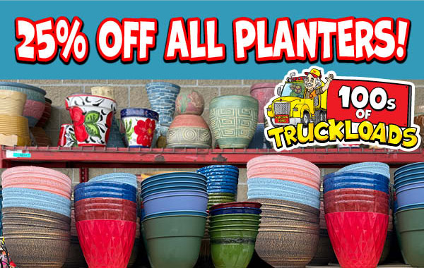 Ceramic Pottery