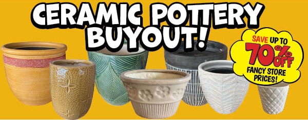 Ceramic Pottery Buyout!
