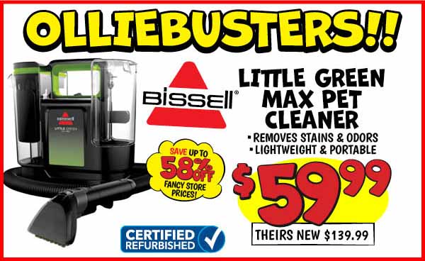 Bissel Little Green Max Pet Cleaner