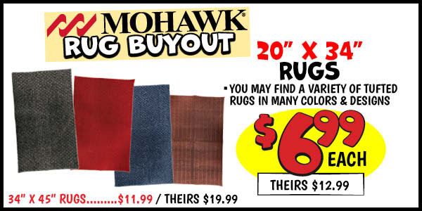 Mohawk 20" x 24" Rugs