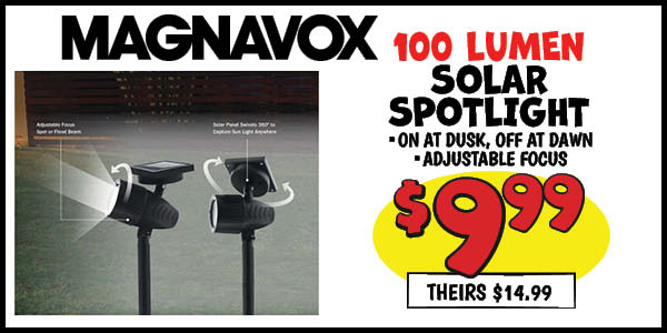 100 lumen solar spotlight: Our Price: $9.99, theirs: $14.99