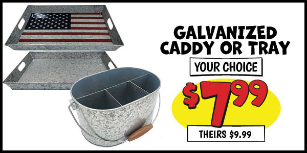 Galvanized caddy or tray: Our Price: $7.99, theirs: $9.99