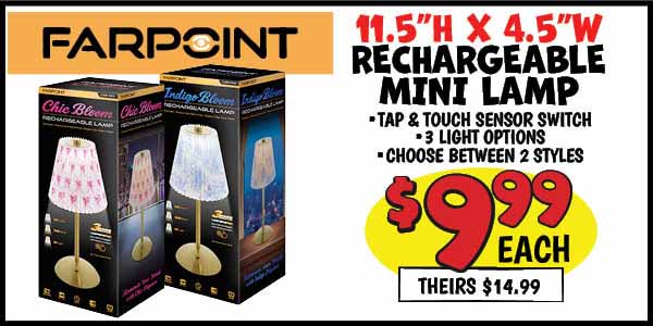 Rechargeable mini lamp: Our Price: $9.99, theirs: $14.99